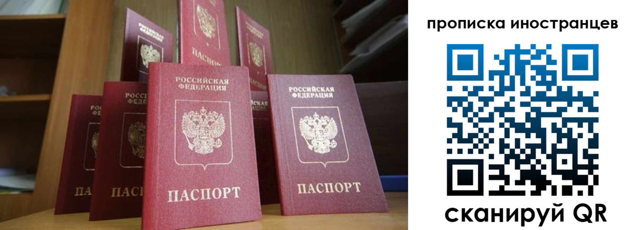 временная прописка в Алексеевке
